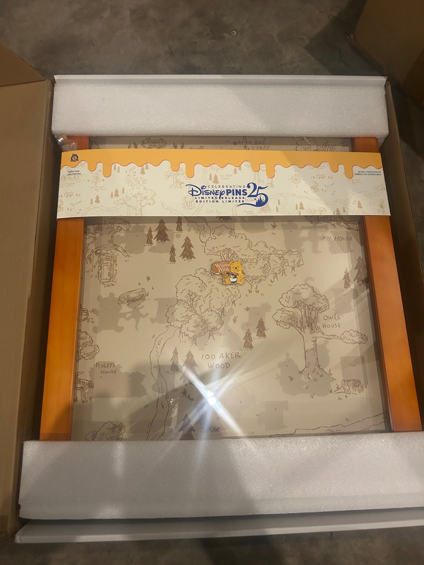 Disney pin board limited release