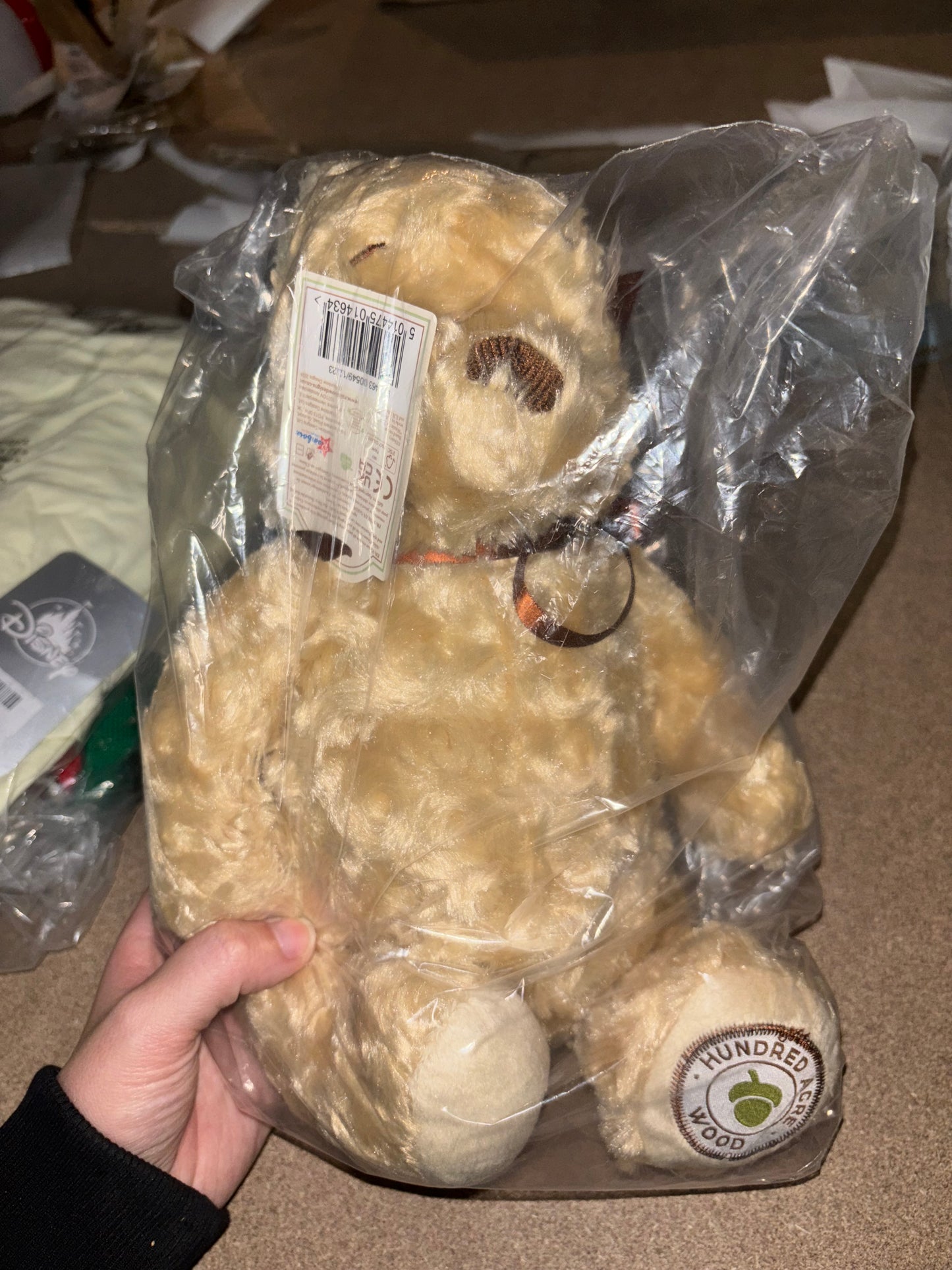 Disney Store Winnie the Pooh (hundred acre wood)