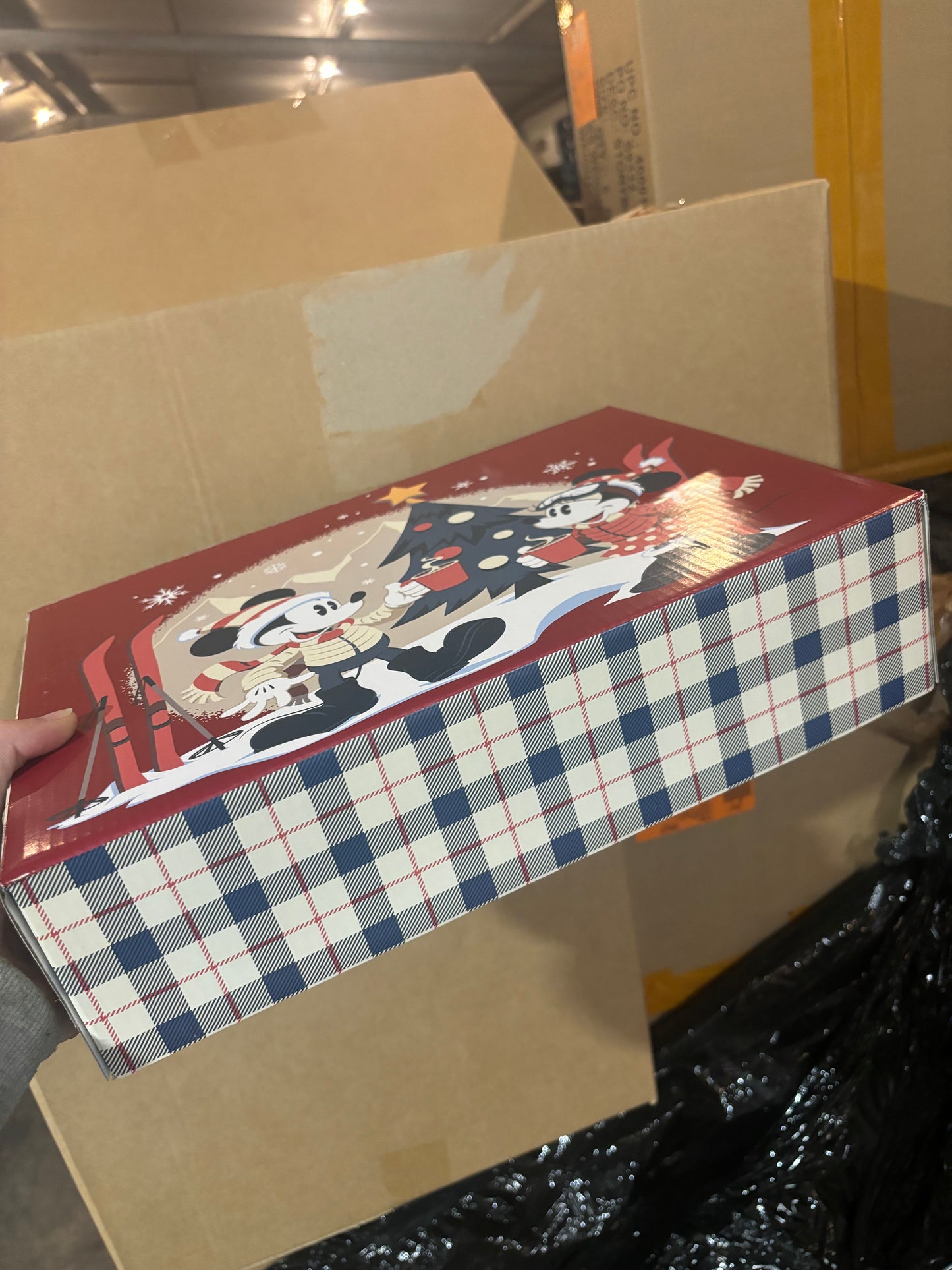 Disney Store Gift Box