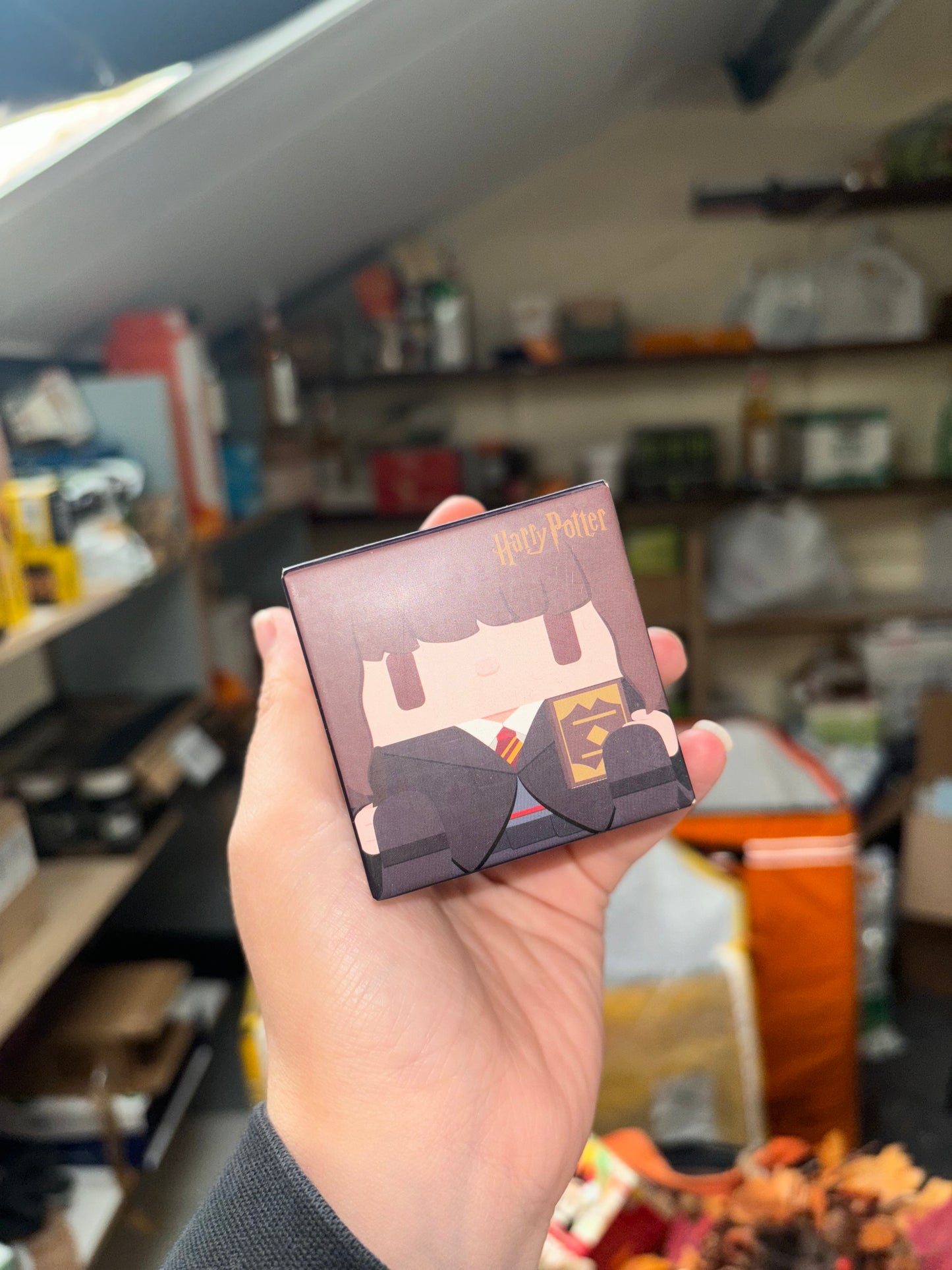 Popmart Harry Potter Blind Box Cube