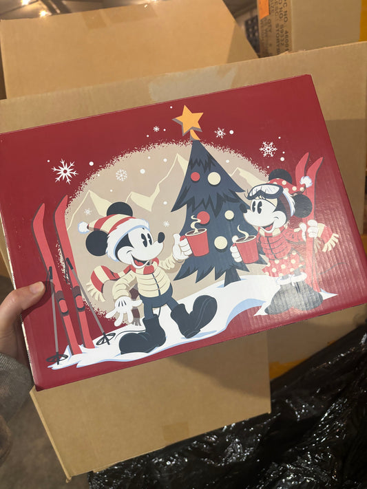 Disney Store Gift Box