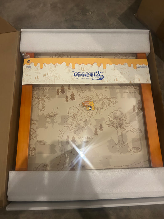 Disney pin board limited release