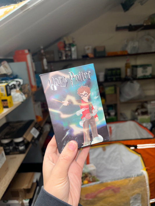 Popmart Harry Potter Blind Box