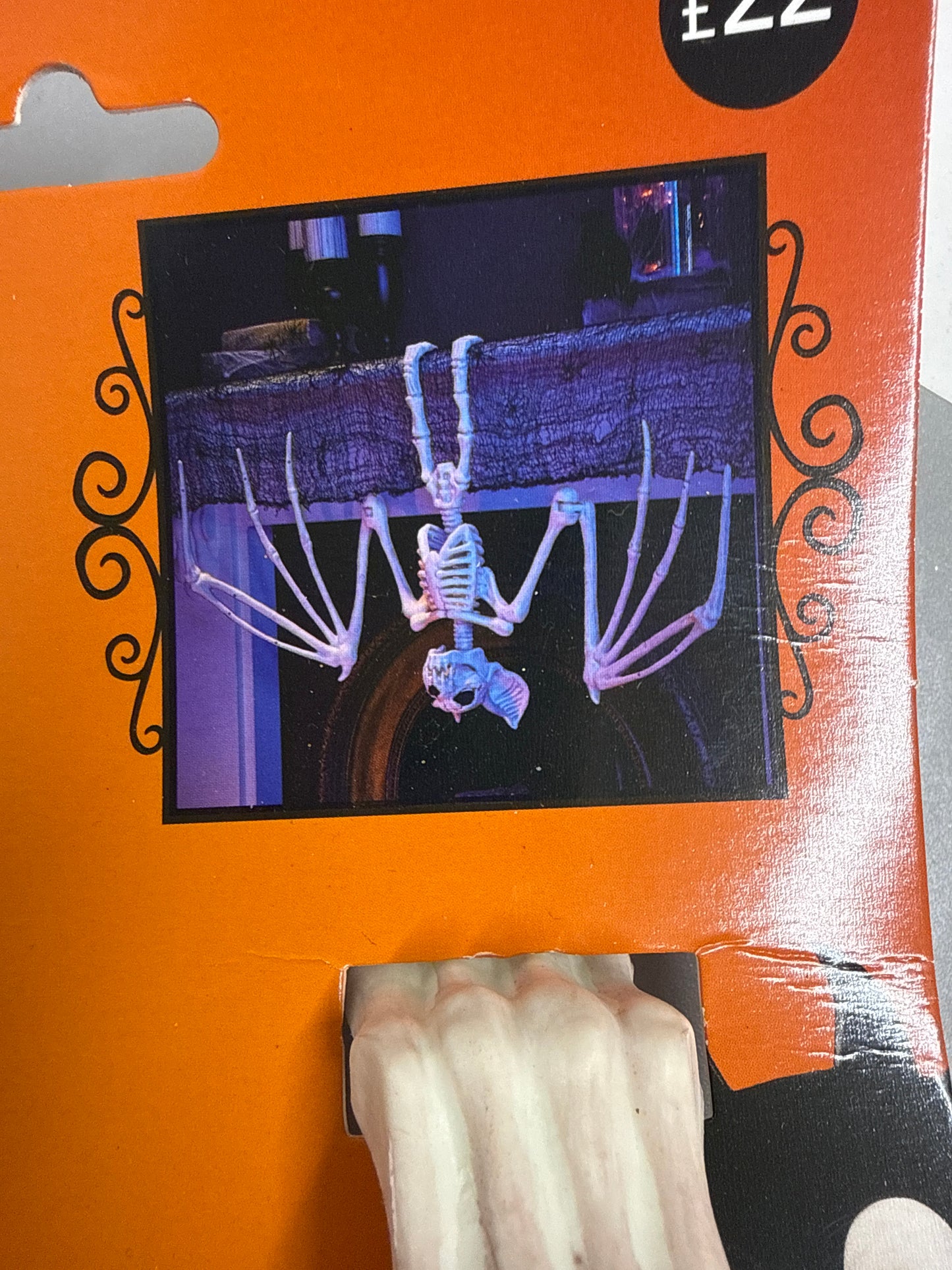 George - Hanging Bat