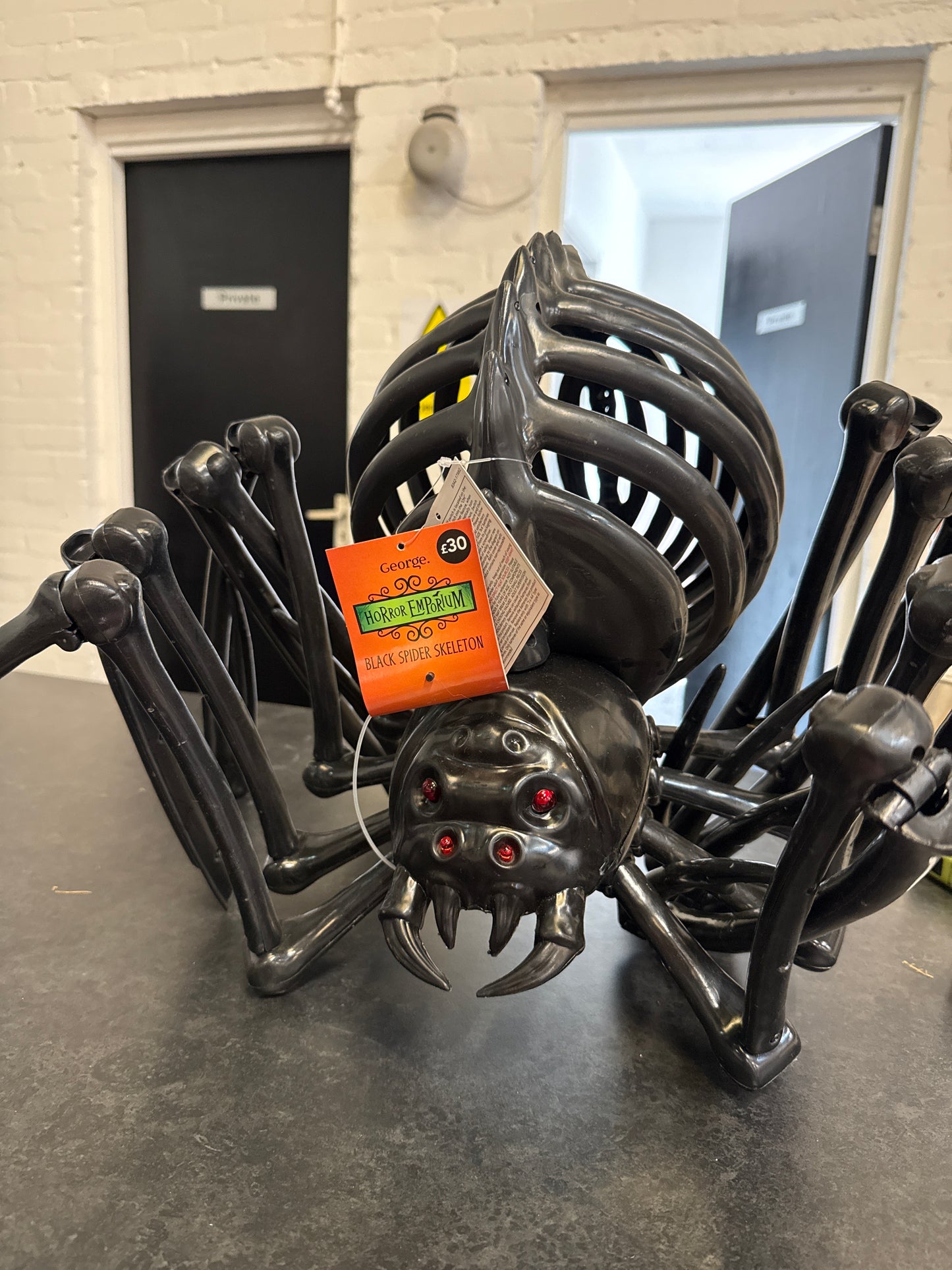 Black spider skeleton