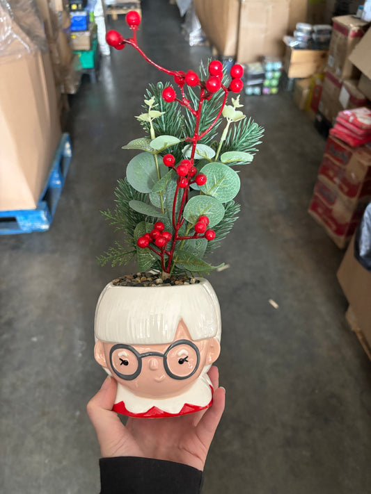 Mrs Claus Plant & Vase
