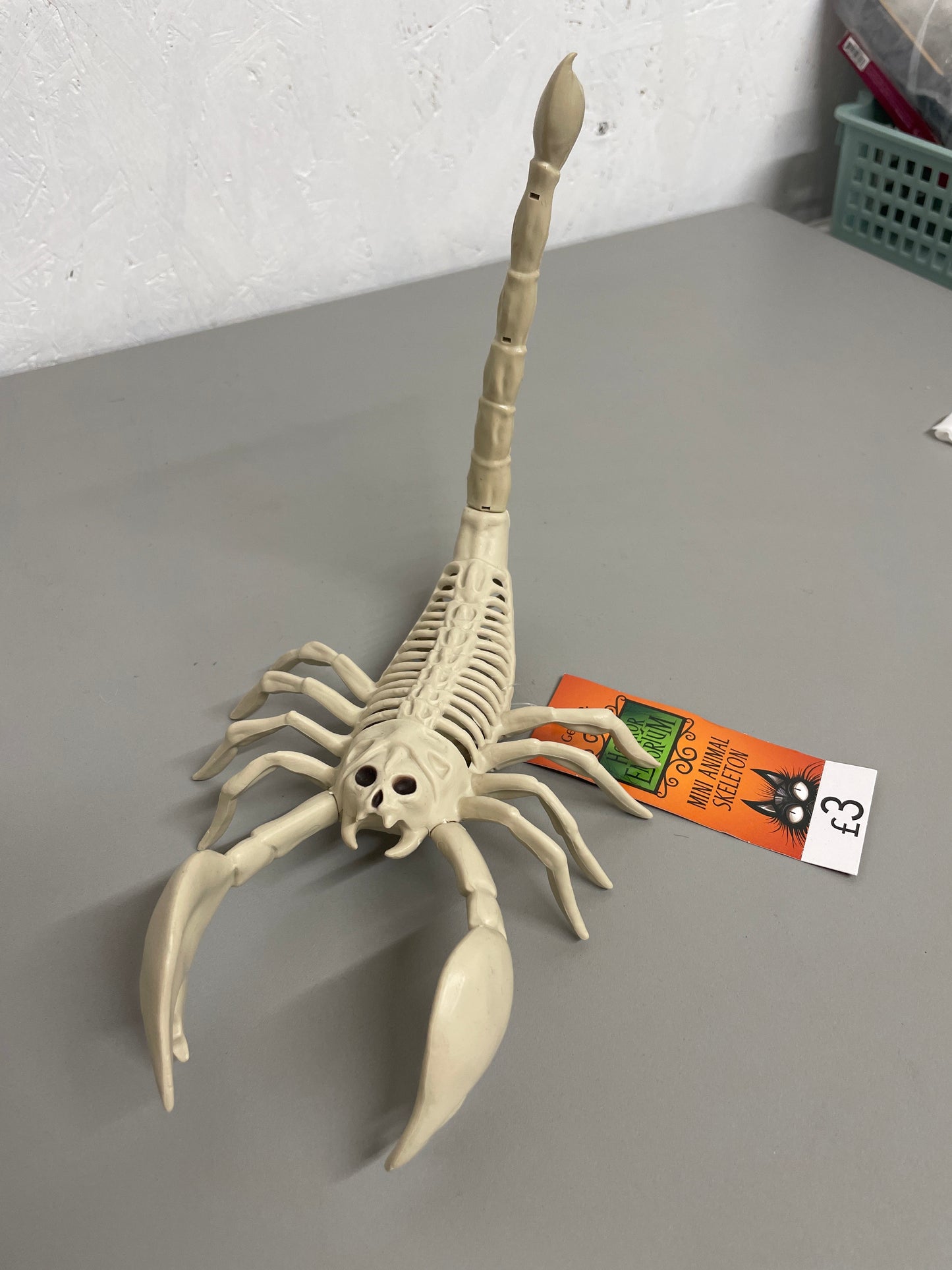Mini Animal Skeleton