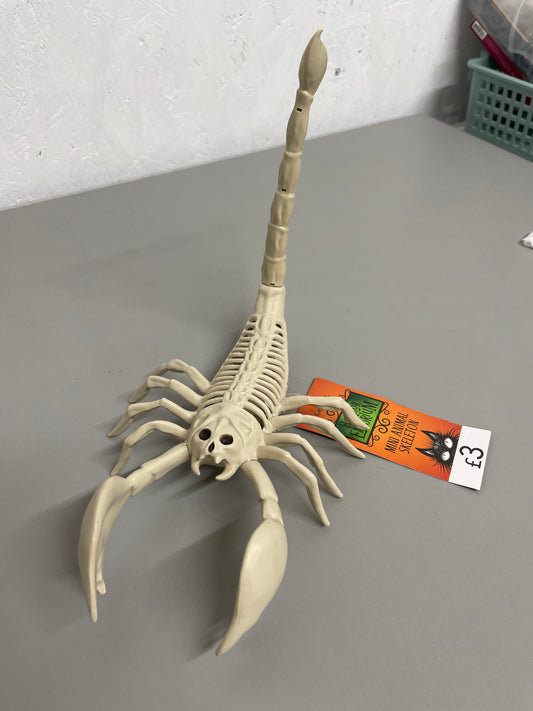 Mini Animal Skeleton
