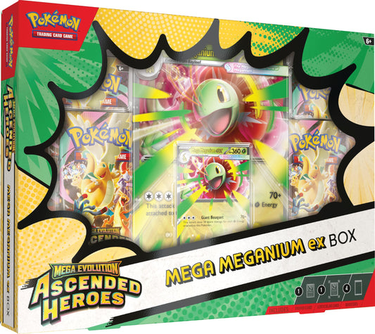 Pokemon Mega Meganium Ex Box