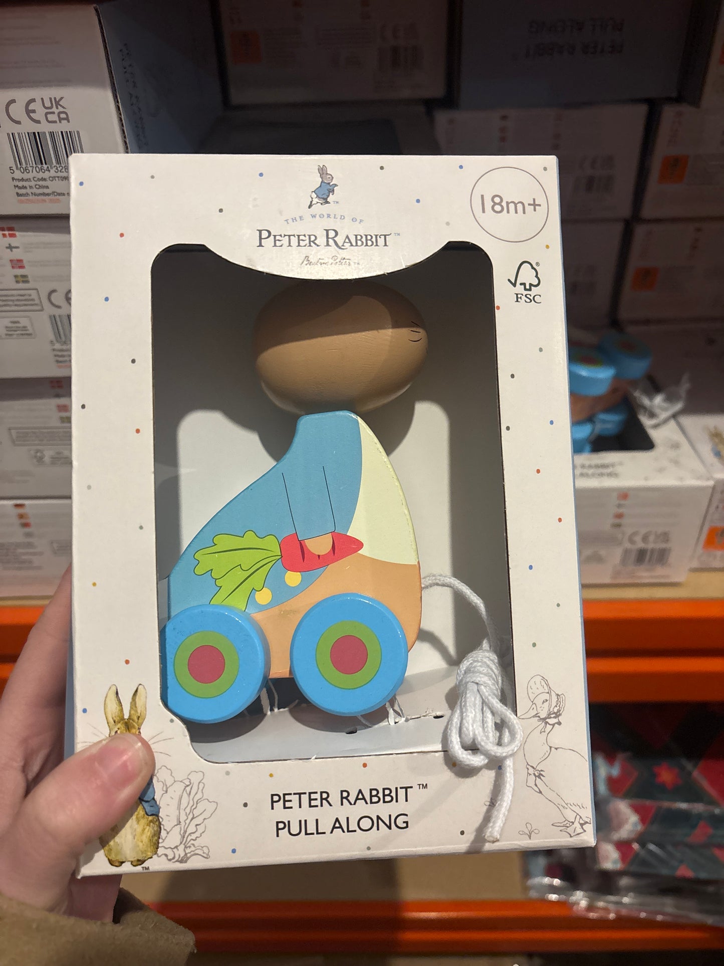 10 x Peter Rabbit Pull along