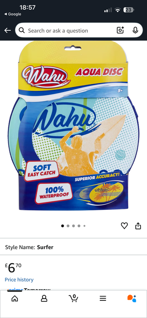 Descriptive image text