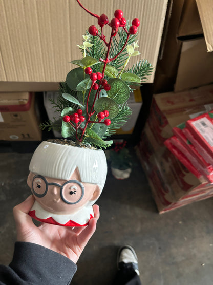 Mrs Claus Plant & Vase