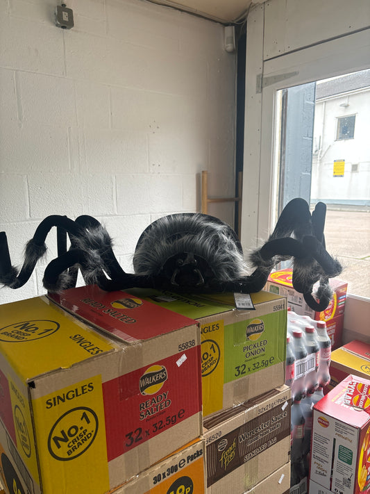 Huge Spider