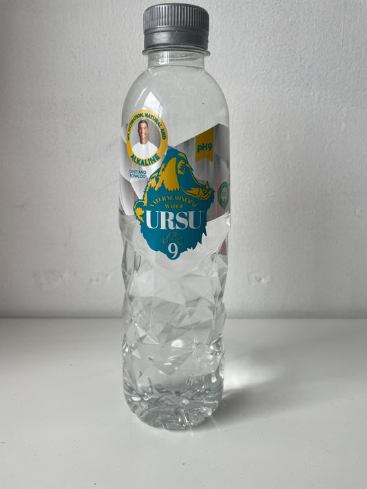 Ursu natural mineral water 500ml