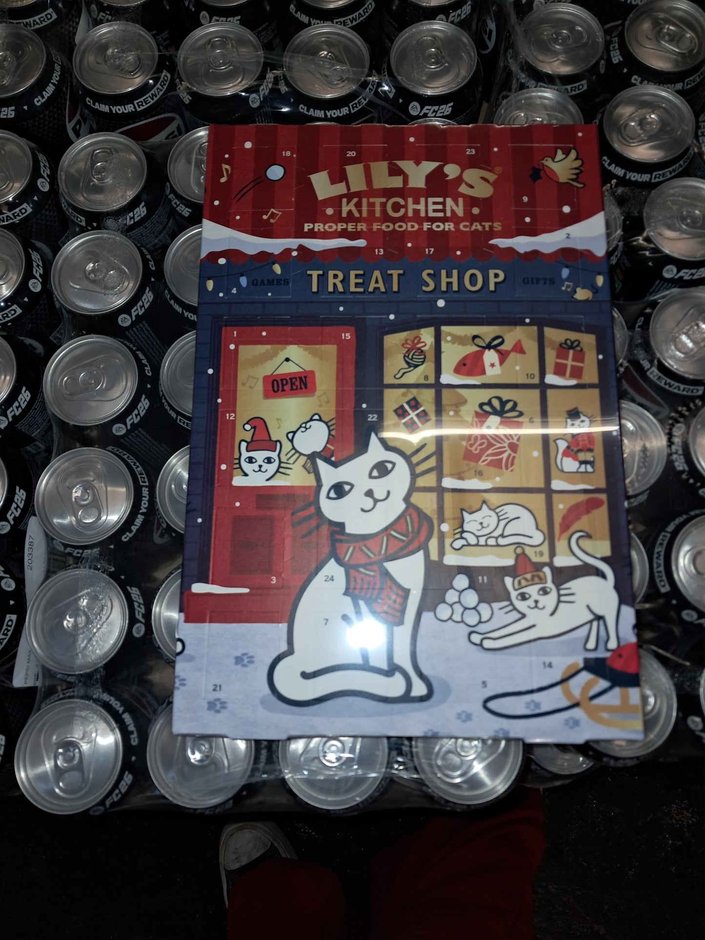 Lilys kitchen cat advent