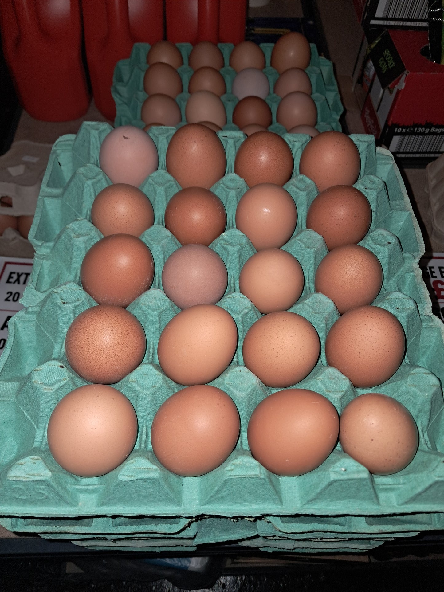Extra large eggs tray (collection ONLY!)