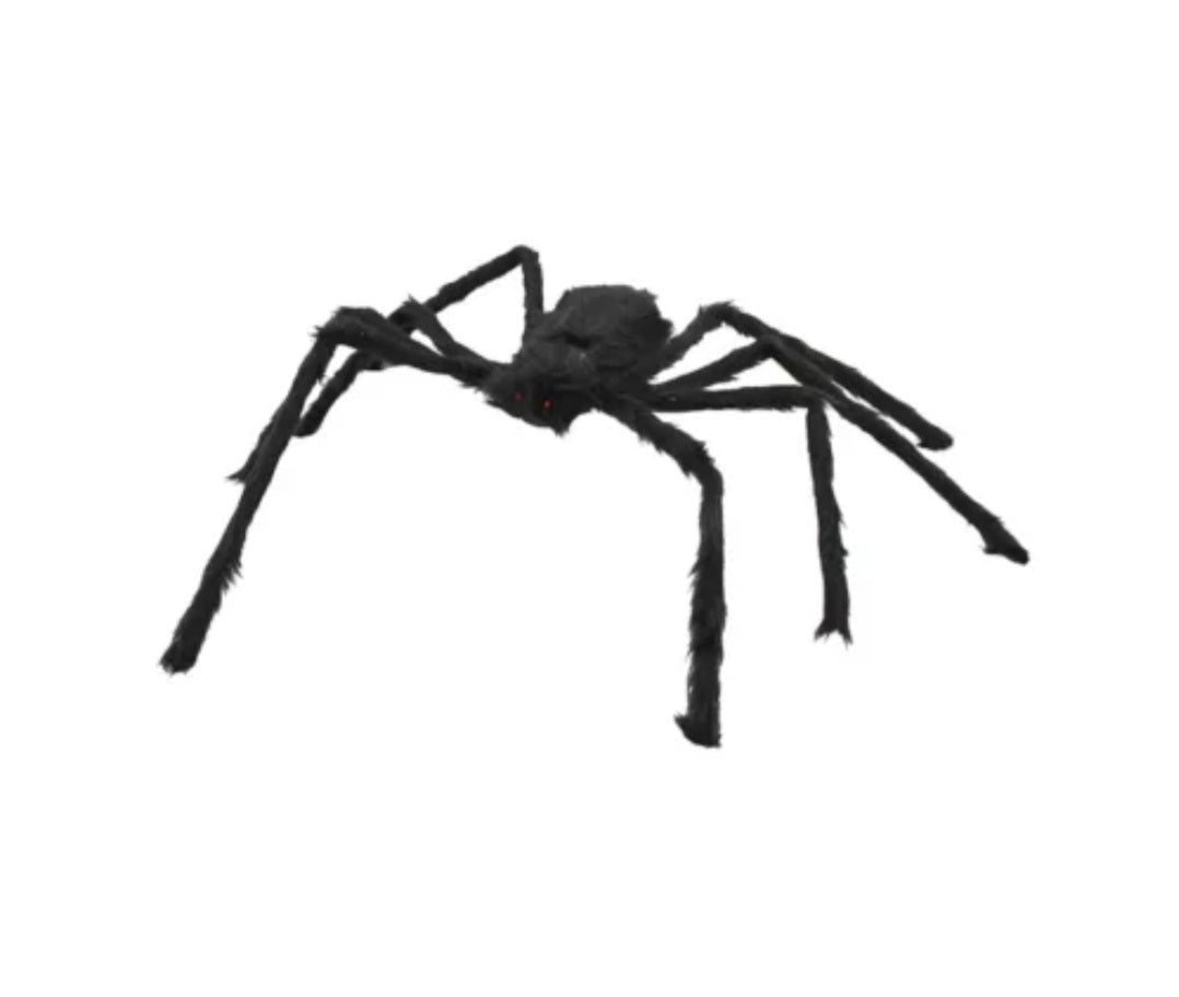 Hairy Halloween spider